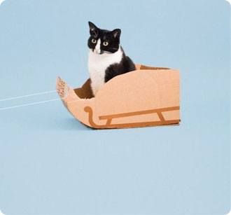 cate-2